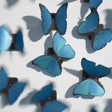 Soledad Sevilla. Medalla de Honor 2025